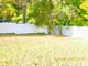 Backyard No 2
